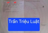 Bán đất đường Trần Triệu Luật - Hòa Minh, Liên Chiểu, Đà Nẵng